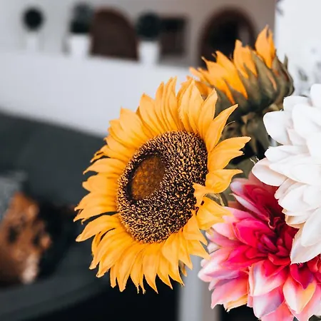 Casa Branca By Trip2portugal アパート *