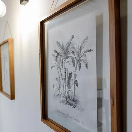 Casa Branca By Trip2portugal * Funchal