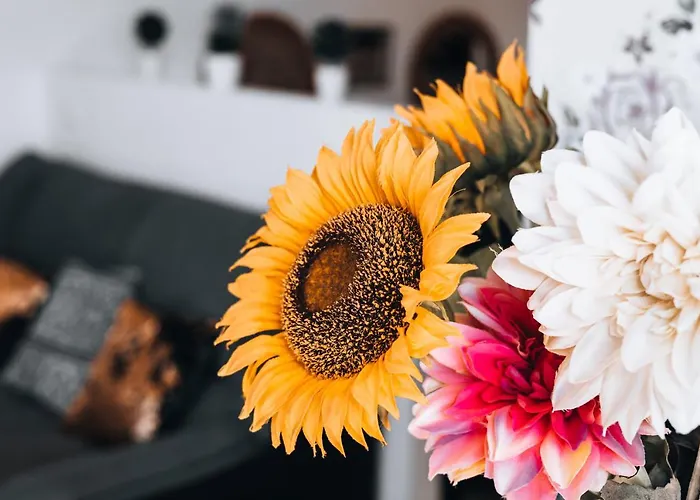 Casa Branca Apartments By Trip2Portugal Apartment *