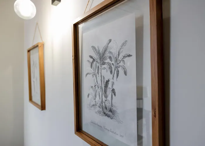 Casa Branca Apartments By Trip2Portugal * Funchal (Madeira)